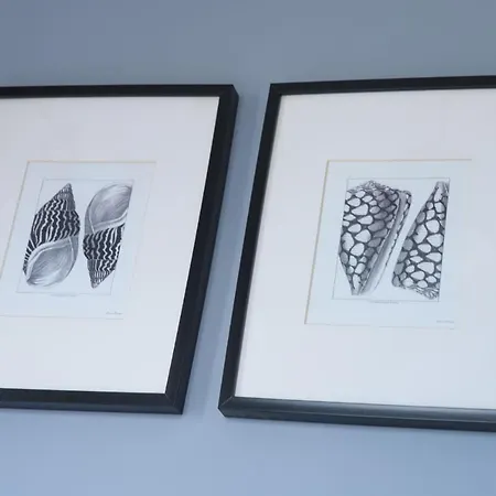 Andromeda's Lägenhet Pefkochori